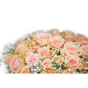 květinový box růží